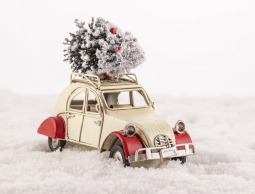 closeup-small-vintage-toy-car-with tree